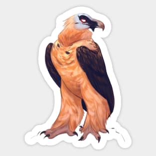 Bearded vulture Sticker